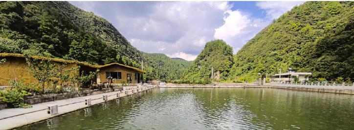 1128174707214843.jpg 1.jpg