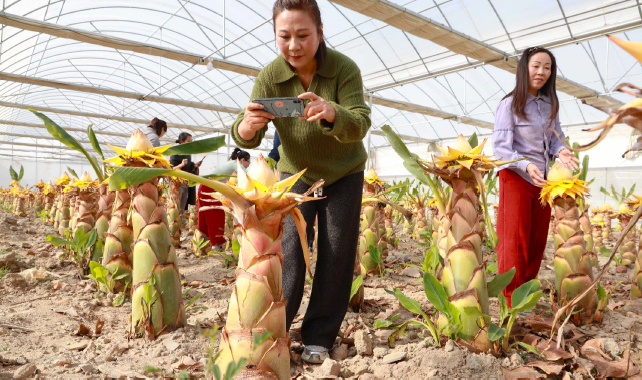 1024483206394759.jpg 微信图片_2025-11-28_102400_433.jpg